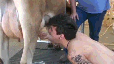 Imagens do Blog do Esmael